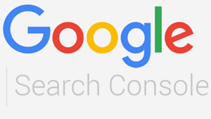 a screen shot picture of Google Search Console