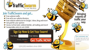 view of the home page of traffic swarm