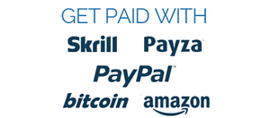 A screen shot that reads, Get paid with Skrill Payza Paypal Bitcoin Amazon