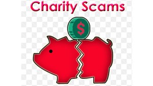 Charity Scams | Fake donations | victims of charity fraud | red pig cracked in half