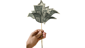 A picture of a hand holding a long tooth pick, with 1 dollar bills stuck to the tip.